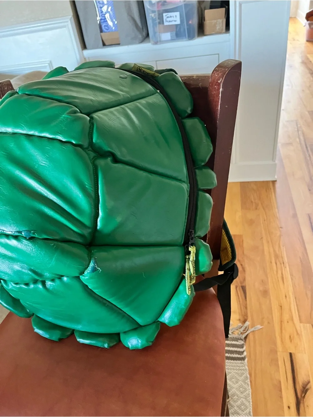 Green Turtle Shell Reptile Hide / Habitat Accessory